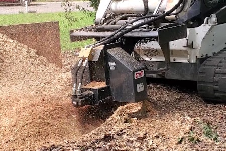 Stump Grinding Thumbnail
